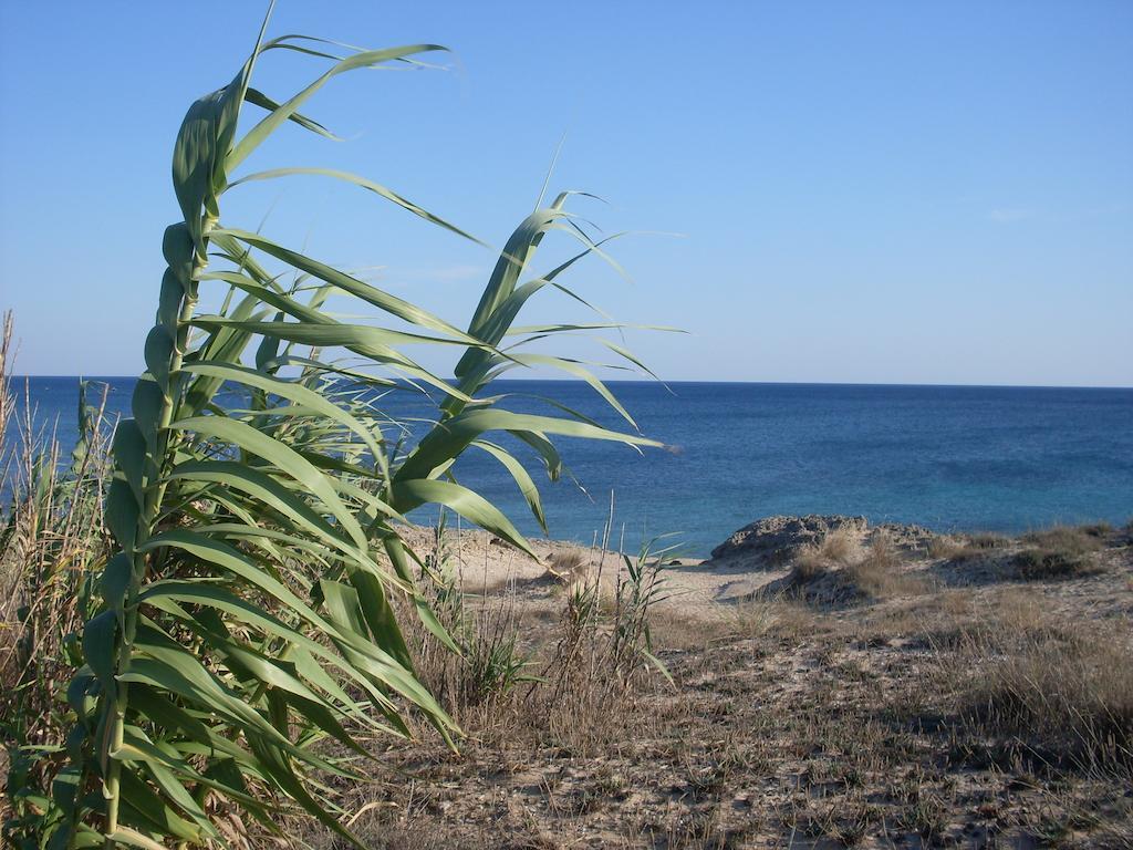 Villa Boschetto B&B - Apartments Maruggio Eksteriør bilde
